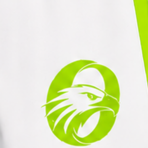 Pantalones Cortos de Rugby Blancos y Verde Lima, Cintura Elástica con Cordón, Uniforme de Equipo Personalizado, Ropa Deportiva Transpirable para Entrenamiento y Alto Rendimiento - Product Image 6