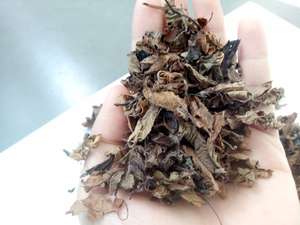 Hojas de Pasto Seco sin Azufre de Primera Calidad, Mesona Chinensis para el Mercado Europeo y Estadounidense - Product Image 4