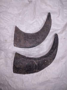 Cuerno de búfalo de alta calidad, cuerno para masticar perros y comida para perros, cuerno para masticar de búfalo genuino con tamaño personalizado al precio más bajo - Product Image 5