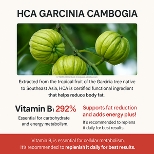 Comprimés de supplément d'extrait naturel de Garcinia Cambogia pour le bien-être quotidien et l'alimentation équilibrée 56 jours OEM - Product Image 6