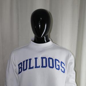 WHITE Hooded Velour Sweatshirt 100% Cotton <b>BLUE</b> Applique Embroidery Winter Digital Printing CLUSH SPORTS - Product Image 2