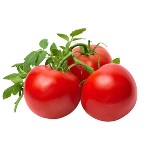 Tomates frescos Envío rápido Tomates de alta calidad del Reino Unido Tomates frescos tipo ciruela y tomates rojos cereza - Product Image 2