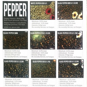 POIVRE NOIR DU VIETNAM EN GRAINS ENTIERS FAQ 500GL 550GL FOURNISSEUR EN GROS EXPORTATEUR - Product Image 6