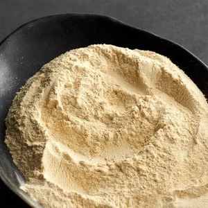 Poudre d'ail de qualité supérieure pour assaisonnement et cuisine, poudre d'ail déshydratée de qualité alimentaire, vente en gros, exportation en vrac, Inde - Product Image 3