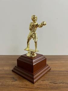 Copa de trofeo de metal de primera calidad para torneo de campeonato de boxeo disponible a un precio asequible desde India. - Product Image 5