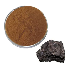 Poudre d'extrait de Shilajit de l'Himalaya en gros OEM – Poudre de résine d'acide fulvique standardisée – Complément ayurvédique à base de plantes – Fournisseur en vrac - Product Image 1