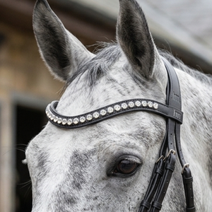 Bridon de dressage anatomique en cuir noir de qualité supérieure avec nezier rembourré en néoprène doux et frontal en cristal transparent de grande taille - Product Image 6