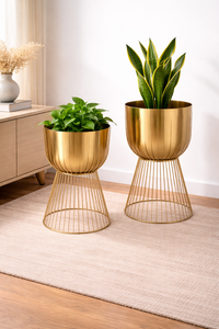 Macetero Clásico de Hierro con Recubrimiento en Polvo, Duradero, Multiusos, para Interiores, con Drenaje, para Decoración del Hogar y Jardín - Product Image 4