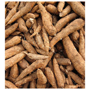 แป้งมันสำปะหลังออร์แกนิกอบแห้ง ประโยชน์ต่อสุขภาพ - Product Image 2