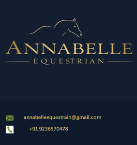 สายจูงม้าทนทาน ปรับขนาดได้ วัสดุพรีเมียม อุปกรณ์ขี่ม้าขายส่ง ราคาขายส่งที่ดีที่สุด - Product Image 5