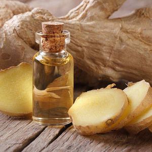 Food Grade Ginger <b>Essential</b> <b>Oil</b> Bulk Manufacturer Zingiber Officinale Steam Distilled <b>Oil</b> for Face and Body Care Massage <b>Oil</b> - Product Image 1