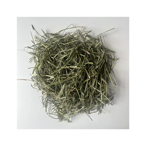 Foin d'alfalfa de qualité export disponible à un prix bas et compétitif pour les marcheurs en gros internationaux - Product Image 4