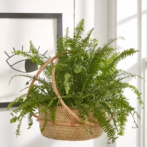 <b>Hanging</b> Planter <b>Basket</b> <b>Indoor</b> Outdoor Natural Bamboo with Rattan Flower Plant Pots <b>Hanging</b> for Home Decorative - Product Image 5