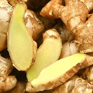 Jengibre Fresco Orgánico al por Mayor de Alta Calidad al Mejor Precio, Jengibre Fresco en Grandes Cantidades - Product Image 1