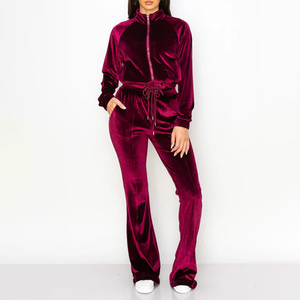 Vêtements de sport personnalisés à manches longues pour femmes, ensemble de jogging ajusté, survêtement à capuche en velours tendance - Product Image 4