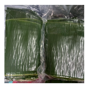 Hojas de Plátano Naturales Congeladas para Empaque de Alimentos Cero Desperdicio, Servicio de Alimentos Orgánicos e Industria de Catering Comercial a Nivel Mundial - Product Image 6
