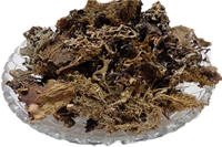 Extrait de fleur séchée de Parmelia Perlata (Chadila Phool) de qualité A+ par extraction par solvant, emballage en fût, vente en gros