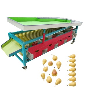 Clasificador de Tomates <span class=keywords><strong>Cherry</strong></span> y Arándanos por Tamaño - Máquina Clasificadora de Frutas Tipo Cinta Transportadora - Product Image 5