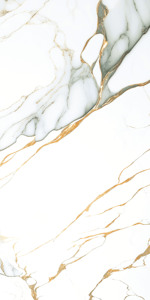 Vente directe d'usine : Carreaux de sol en granit 600x1200 mm super polis pour salon. - Product Image 4