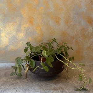 Jardinière en fer avec support en fer forgé, décoration de jardin extérieure, conteneur pour plantes pour balcon et terrasse - Product Image 3