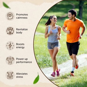 <b>Best</b> Selling 100% Pure Ashwagandha Root Powder Food Grade Ayurvedic Ashwagandha Powder for Support Stress Management & Immunity - Product Image 3