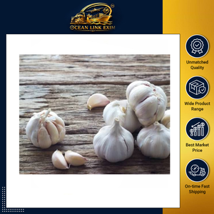 Bulbos de Ajo Frescos de Calidad Superior, Ajo Blanco para Cocinar, Preparación de Alimentos, Procesamiento Industrial y Suministro para Exportación Global - Product Image 2