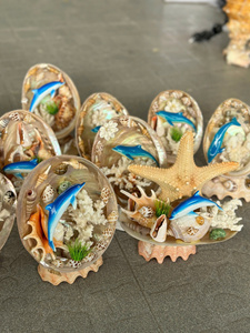 Natural Small Sea <b>Shells</b> for Aquarium Fish Tank Decoration Vietnam Factory Bulk Manufacturer Export - Product Image 4
