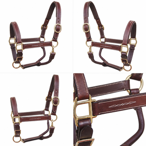 Haltères et colliers pour chevaux en cuir véritable pour les marques d'équipements équestres haut de gamme, avec fabrication sur mesure - Product Image 2