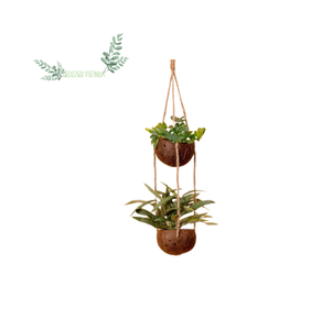 Sustainable Coconut <b>Shell</b> Pot Plant - Natural Coconut Flower Pot - Coconut Hanging Pots Gardening Supply By Eco2go Vietnam - Product Image 6