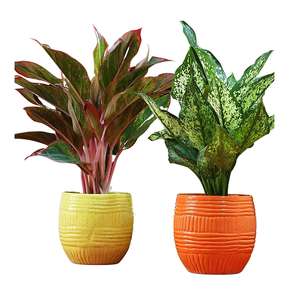 Pot de fleurs en céramique avec des lignes décoratives auto-définies, jardinière décorative pour l'intérieur et l'extérieur - Product Image 1