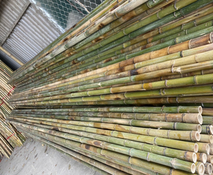 Precio al por mayor de alta calidad de bambú seco materia prima edificios naturales postes de bambú - Product Image 6