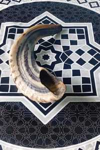 Shofar unique en corne de bélier naturelle, écologique, poli brillant, pour usage religieux et cadeaux pour la maison/les entreprises - Hs Husnain Crafts, bon prix - Product Image 4