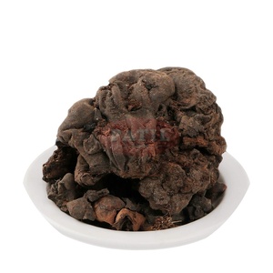 Mochras Ganzes Harz Bombax ceiba Natürlicher Gond aus Indien Großexport - Product Image 1
