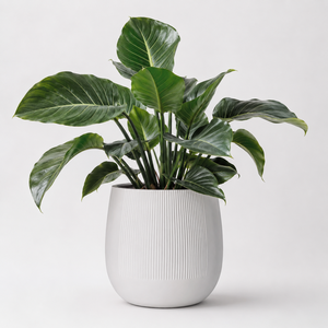 Pot de jardin en fibre de verre, sphérique, blanc, côtelé, simple et élégant, pour l'intérieur et l'extérieur, lot de 3 - Product Image 5