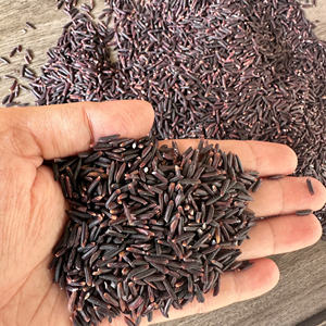 [Keith Vilaconic] Riz noir du Vietnam, qualité d'exportation premium, grains entiers, riche en antioxydants, texture ferme, séché, procédé AD - Product Image 1