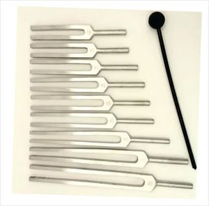 ชุดส้อมเสียงสแตนเลสสตีลแบบถ่วงน้ำหนักสำหรับจักระ พร้อมโลโก้สั่งทำ ความถี่ 64-512Hz คู่มือการใช้งานสำหรับการบำบัดด้วยเสียง - Product Image 1