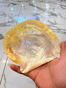 Coquille de nacre à l'éclat opale |   ROSE BIOLOGIQUE JAUNE NOIR |   ARTISANAL 15-30CM - Product Image 6