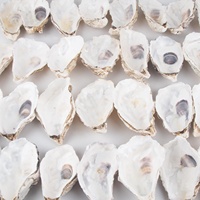 Coquilles d'huîtres naturelles brutes pour artisanat, prix le plus bas, coquilles d'huîtres en gros