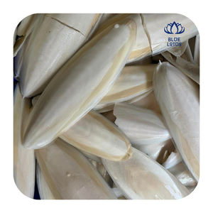 กระดูกปลาหมึกธรรมชาติขายดี สำหรับนกเลี้ยงกินเล่น ช่วยเสริมแคลเซียม และใช้ในตู้ปลา - Product Image 1