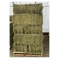 Fourrage de luzerne de haute qualité, qualité alimentaire, 25 kg/sac, pour achat en gros, adapté à l'alimentation des bovins laitiers et des chevaux