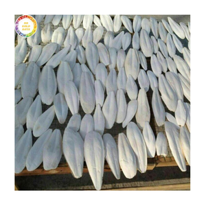 Hueso de Sepia Natural de Origen Marino para Fundición de Joyas y Materia Prima para Artesanía Tradicional - Product Image 1