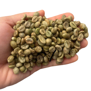 โรบัสต้าเมล็ดกาแฟสีเขียวโรบัสต้าเกรด1 S13 S16เมล็ดกาแฟสะอาดปราศจาก S18ยุติธรรมจากเวียดนาม - Product Image 1