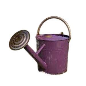 Arrosoir en métal galvanisé pour décoration de ferme, outil de jardinage, pot de jardin en acier pour plantes d'intérieur et d'extérieur - Product Image 4