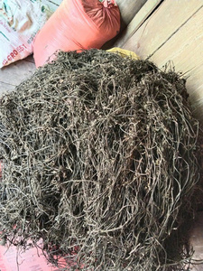 ใบหญ้าเจลลี่แห้งพรีเมียมจากเวียดนาม วัตถุดิบสมุนไพรเมโซน่าธรรมชาติสำหรับทำเครื่องดื่มเจลลี่ จำหน่ายส่ง - Product Image 2