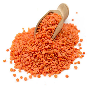 Lentejas Rojas Secas, Lentejas Enteras de Cultivo Común, Grano Natural a Granel, 25 kg, Tanzania, para Sopa, Curry, Servicio de Alimentos, Venta al por Mayor - Product Image 5