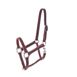 Durable Traditional English Horse <b>Head</b> Collar Comfortable Fit for Daily <b>Training</b> and Handling Horse <b>Head</b> Collar OEM Service - Product Image 1