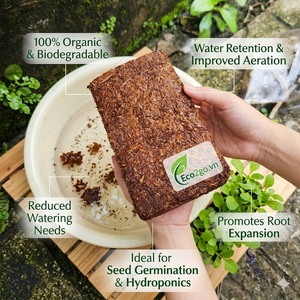 COCO PEAT Block for PLANTS & TREES 100% Natural Eco-Friendly Indoor/Outdoor Use Safe for Plant Health Garden Soil Conditioner - Product Image 6