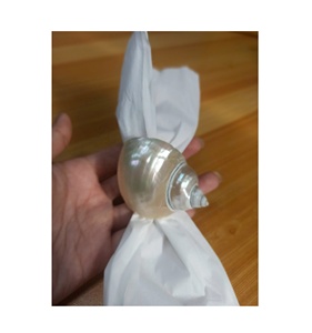 Servilleteros de concha marina Turbo azul pulido de alta calidad para decoraciones de boda festivales fiestas-regalos de recuerdo de concha marina - Product Image 4