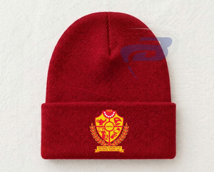 Gorro de Invierno Tejido NSPDK Sorority, Blanco, Bordado 3D Premium 1923, Unisex, Cálido, Diseño de Gorro de Invierno Tejido con Punta - Product Image 1