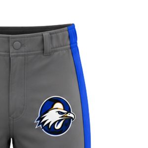 Pantalon de baseball gris bleu roi avec le numéro 10 et logo aigle brodé, coupe ajustée, tissu respirant, vêtements de sport performants - Product Image 3